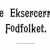 Det ny tyske Eksecerreglement for fodfolket (fortsættes)